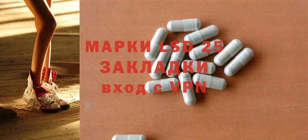 ГАЛЛЮЦИНОГЕННЫЕ ГРИБЫ Абаза