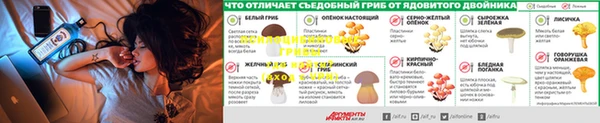 меф Рославль