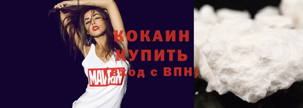 ГАЛЛЮЦИНОГЕННЫЕ ГРИБЫ Абаза