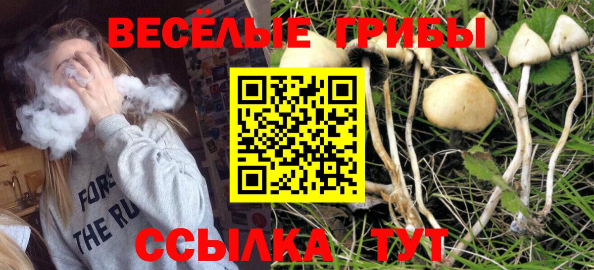 Алексин  Галлюциногенные грибы Cubensis  магазин продажи   Галлюциногенные грибы прущие грибы  Вход с VPN 